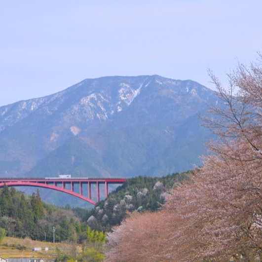今日の恵那山 おちあい桜が咲き出した。
