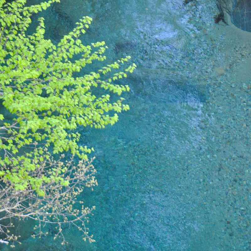 ここで深呼吸！ 若葉の緑と水の碧 付知峡攻め橋