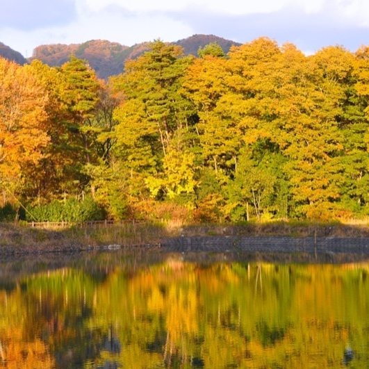 鮮やか紅葉絶景、空の色より池の色。