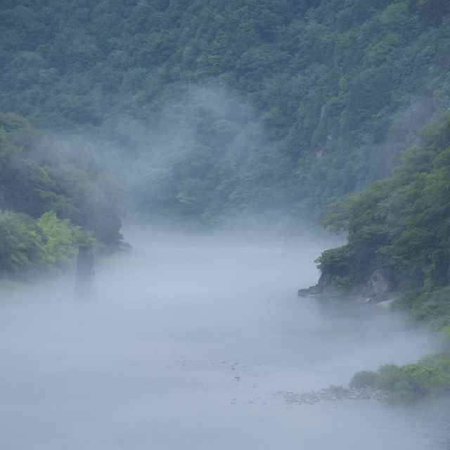 木曽川の川霧と龍。