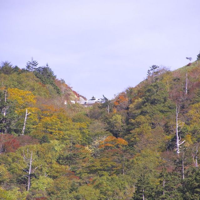 富士見台高原の紅葉は始まっていた。10/11 撮影
