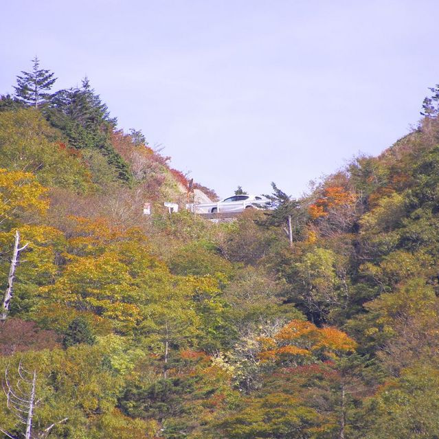 富士見台高原の紅葉は始まっていた。10/11 撮影