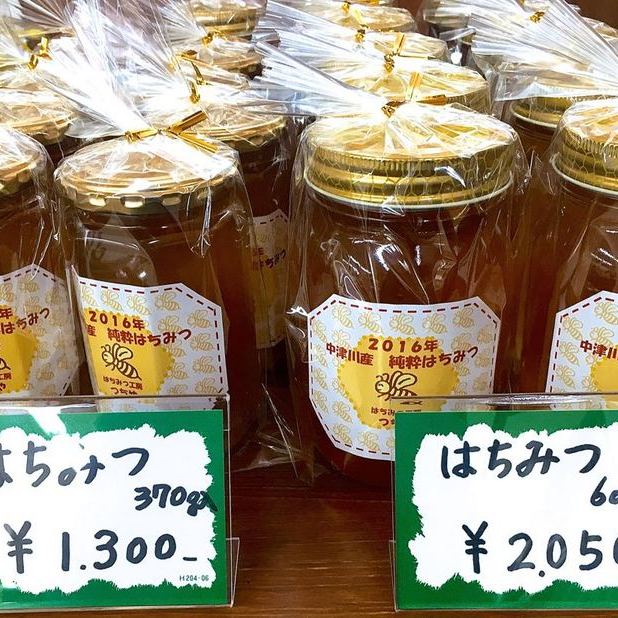中津川ハチミツ「一番搾り桜風味」本日新発売。