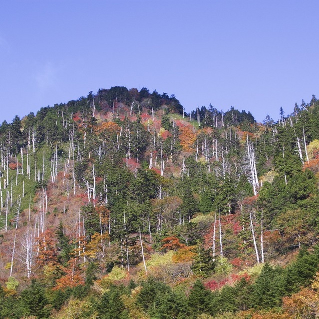 富士見台高原の紅葉始まる。