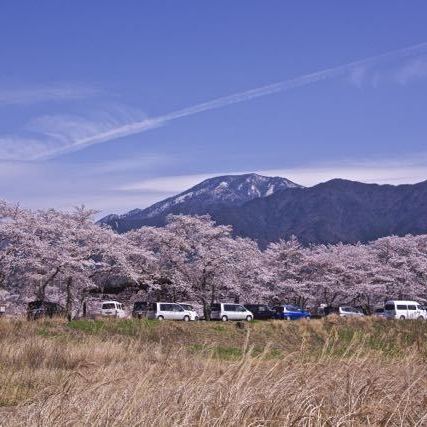 雪見恵那山と満開の本町桜