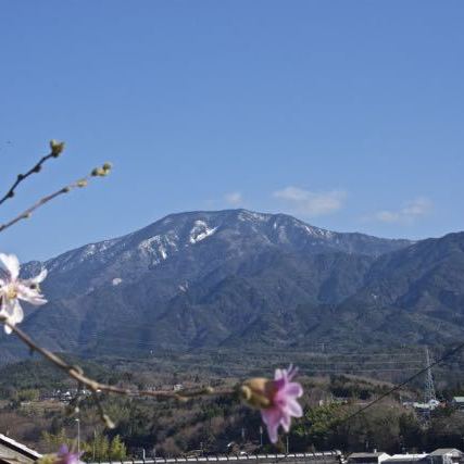 恵那山とシデコブシ