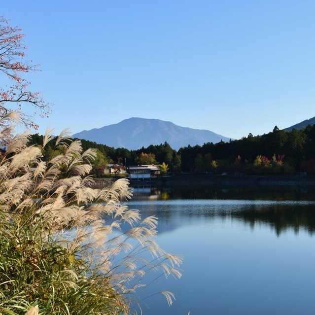 ススキと椛の湖と逆さ恵那山、晩秋の長閑な風景。