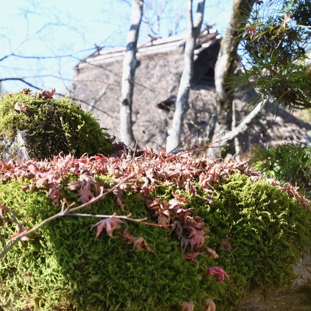 苔灯篭にもみじ葉と茅葺宿、日本の里山の風情。