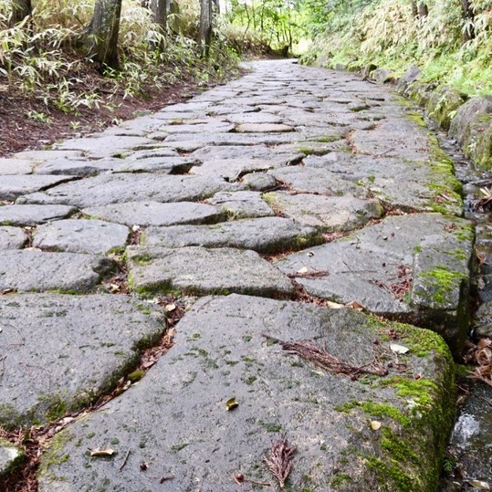 雨上がりの中山道落合の石畳