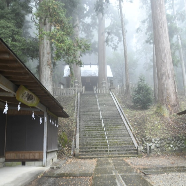立冬の冷たい雨に煙る恵那神社本殿と千年杉。