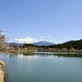 百名山恵那山と水温む四月の椛の湖、桜咲く風景。