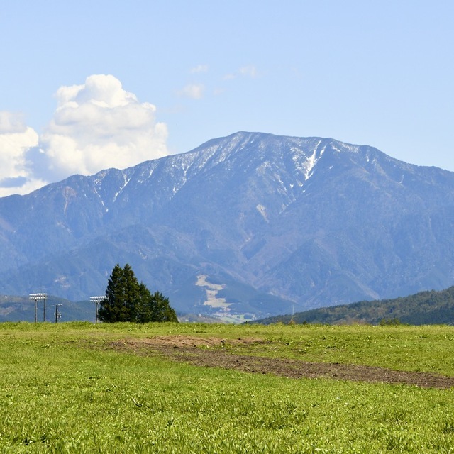 残雪の百名山恵那山と青葉若葉の椛の湖そば畑の風景。