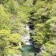 付知峡本谷渓谷、爽やかな若葉香る渓谷にエメラルド水の谷音が響く。