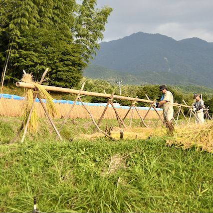 恵那山麓の日本の伝統農業、
