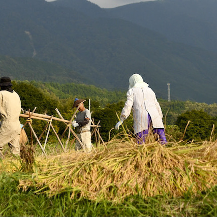 恵那山麓の日本の伝統農業、