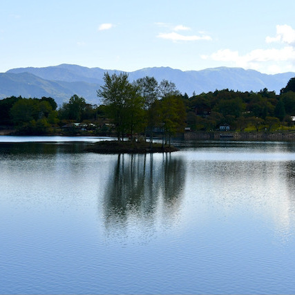 椛の湖と恵那山、湖に浮かぶ弁天島の椛の木。