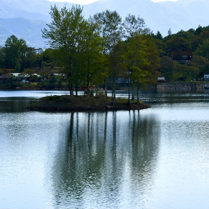 椛の湖と恵那山、湖に浮かぶ弁天島の椛の木。