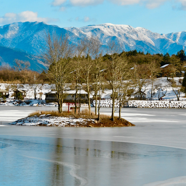 冬晴れの美しい風景、椛の湖と恵那山。弁天島の冬枯れ椛の木。｜チーフ ...