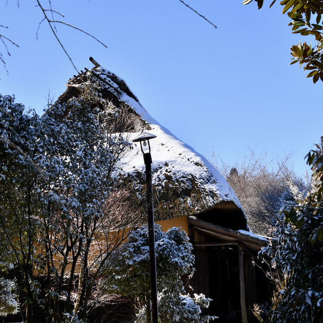 里山の冬、日本の原風景。