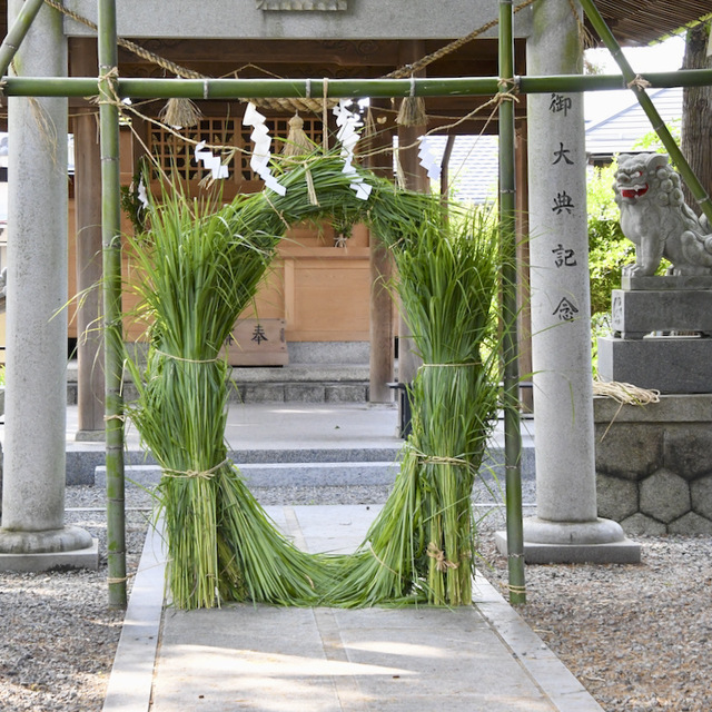 茅の輪くぐり始まりました。中津川西宮神社