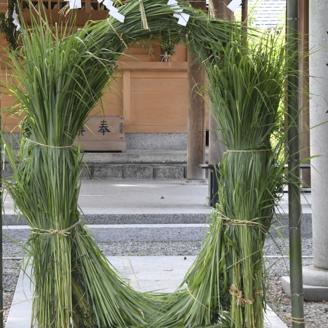 茅の輪くぐり始まりました。中津川西宮神社