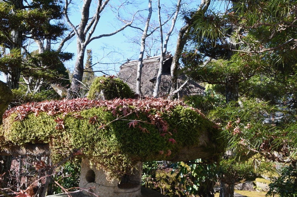 苔灯篭にもみじ葉と茅葺宿、日本の里山の風情。