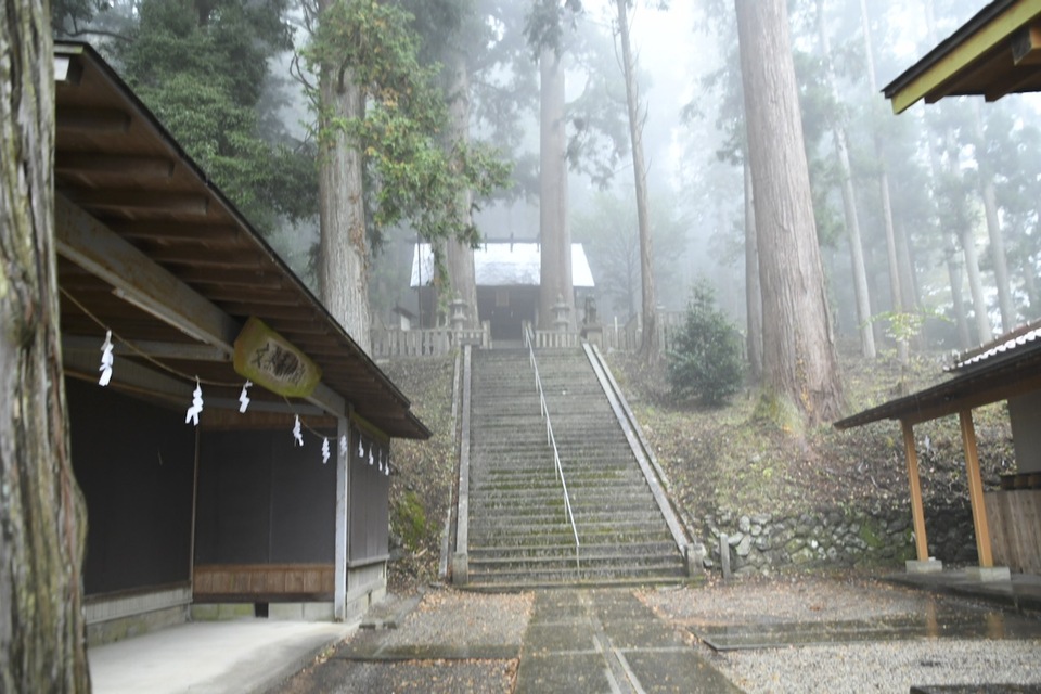 立冬の冷たい雨に煙る恵那神社本殿と千年杉。
