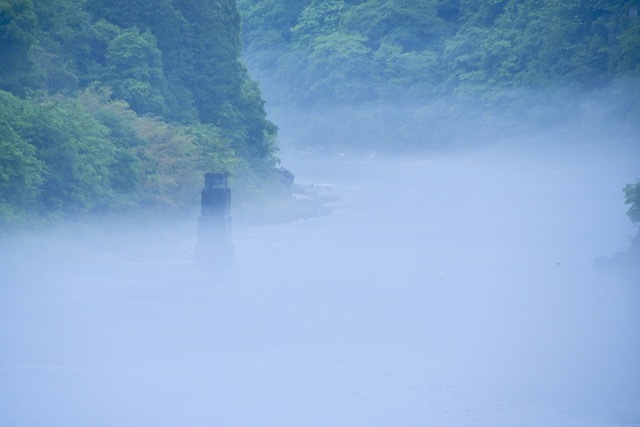 梅雨入りの木曽川、川霧に浮かぶ旧玉蔵橋の亡霊(橋脚)