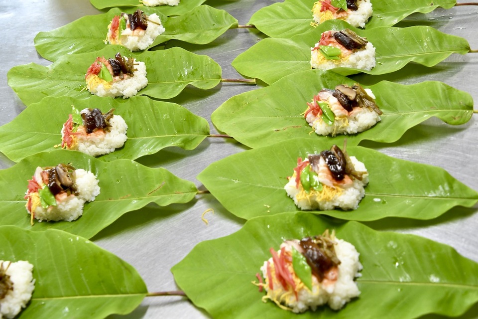 ホオバの葉がシッカリして来ました、初夏の中津川長多喜名物「朴葉寿司」始まる。