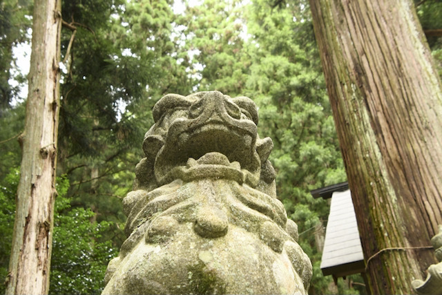 延喜式内社 恵那神社の狛犬、