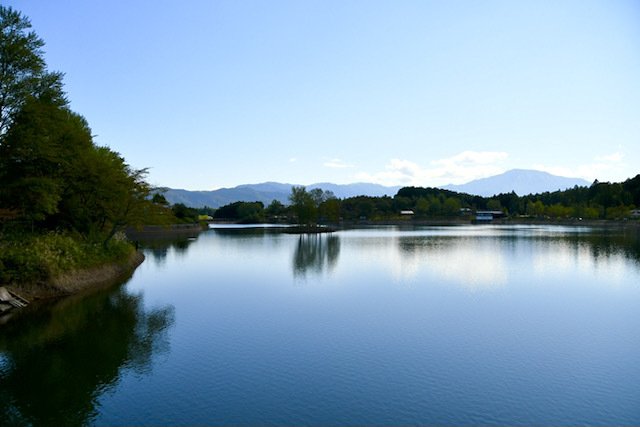 椛の湖と恵那山、湖に浮かぶ弁天島の椛の木。 border=