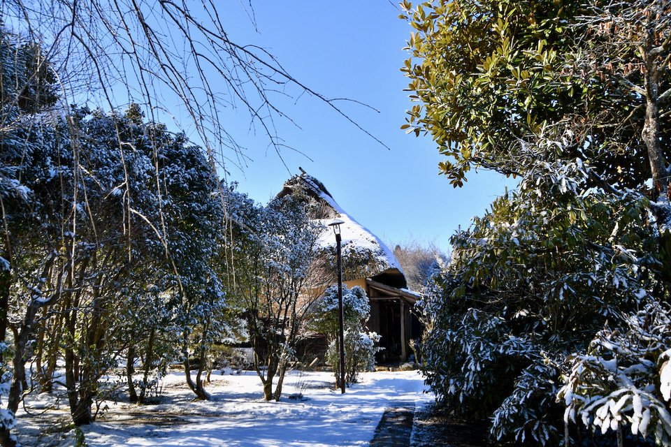 里山の冬、日本の原風景。 border=