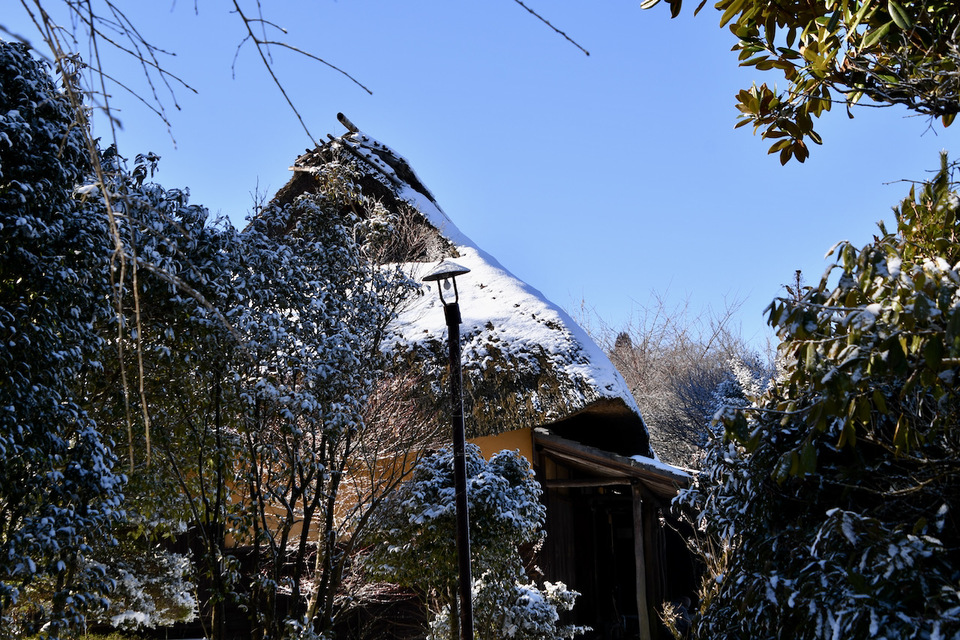 里山の冬、日本の原風景。