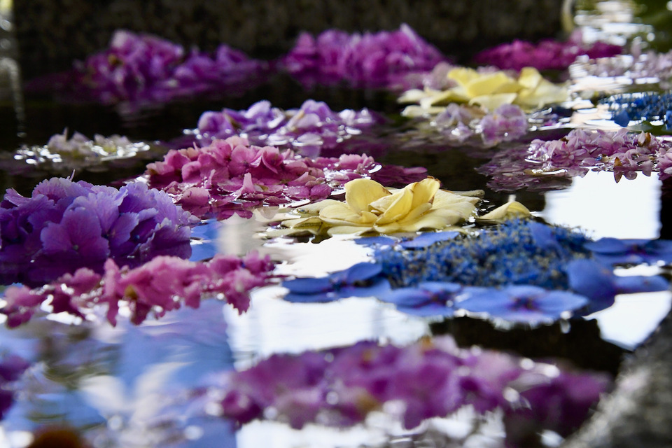 中津川西宮神社の手水はお花でいっぱい、 border=
