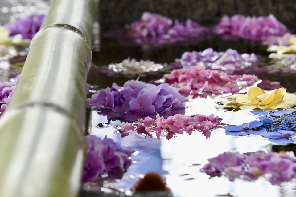 中津川西宮神社の手水はお花でいっぱい、