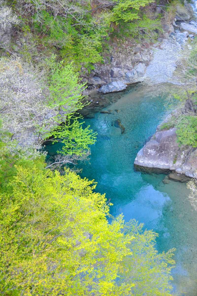 ここで深呼吸！ 若葉の緑と水の碧 付知峡攻め橋