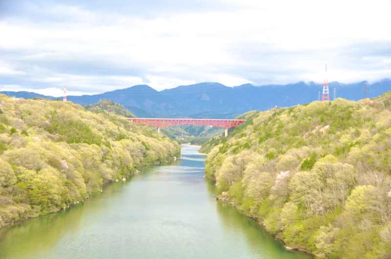 萌える新緑、美恵橋からの木曽川河畔。
