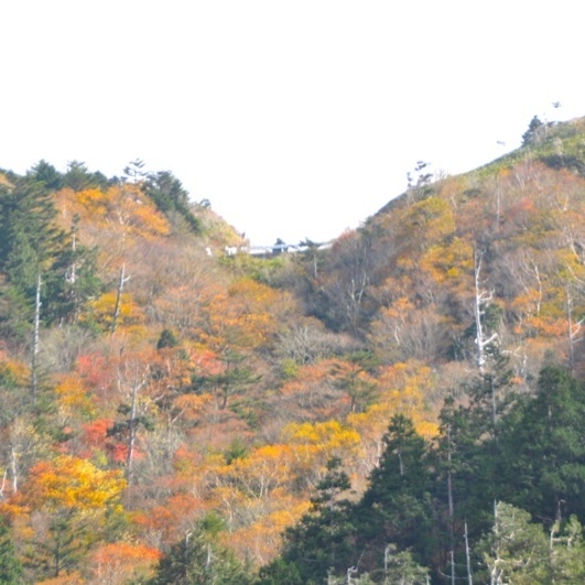台風一過の富士見台の紅葉は最高潮。