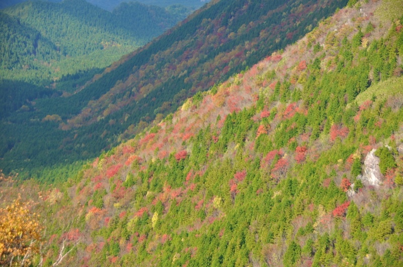 絶景！富士見台高原の紅葉。標高1000~1400付近
