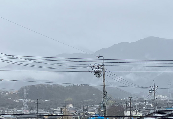 小雨のお天気です。